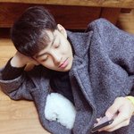 [프듀2] 지친 너희들에게 <b>힐링</b>용 댕댕이