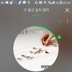 [세븐틴] 크인럽 무대 안 본 사람이랑 <b>겸상</b> 안 합니다.