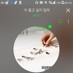 [세븐틴] 이제 그만