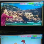 [콜로라도] <b>절벽</b>위에서 프로포즈한 커플의 비극.jpg