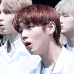 [박지훈] 당근이 다 팔렸다<b>구여</b>?????????