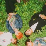 [방탄소년단] 낫투데이 미친 듯