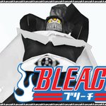 블리치 <b>호정</b> 13대 부대장 잭스.