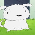 요즘 흰둥이 살쩠네?