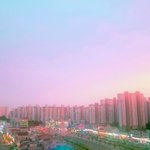 [19] 조카 당황스럽다;;;