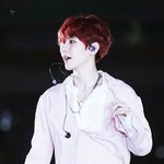[백현] 15  <b>파스텔</b> 부농 백현
