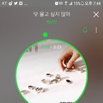 [세븐틴] ㅅㄷ나 오늘 진짜 기분 좋은<b>말</b> 들었다!!!