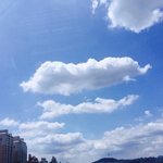 우왁 나 콘서트간다