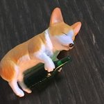 주위에 병신또라이<b>인척</b> 하는애들 조카싫어