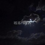 [세븐틴] 세븐틴 노래가사로 글귀만들어봤음