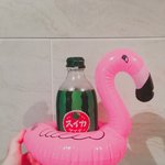 [드루와] 다이소 러브밍고 에디션
