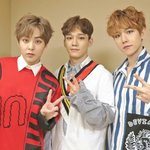 [시우민] 일본 미니프리져님 짹에서 봤는뎅(시우민)