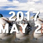2017년 5월의 축제, <b>HWPL</b> 525 평화걷기,평화를 사랑하는...