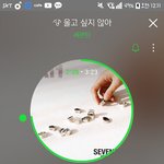 [세븐틴] 플디 달라진거 확 눈에 보임