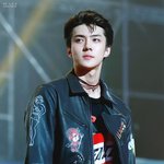 [EXO] 뿌듀벌레 <b>퇴치</b>하는 미모의 조각상