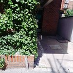 [강아지] 누가 <b>빌라</b> 앞에 강아지 묶어놓고 버렸어요 도와주세요