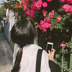 행복은 늘 가까이 있는 것 ! <b>feat</b> 자취7년차의 그린 힐링기...