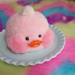 [댓글부탁해] 만약졸업사진찍을때 같은옷입으면?