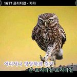 [조언부탁해] 얘들아 나 심각해