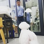 [EXO] 비비 귀여워 ㅋㅋㅋㅋ아옼ㅋㅋㄱ<b>sm</b>사옥간겨 ?