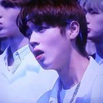 [프듀2] 나만 윙녤 조합 좋아하냐ㅋㅋㅋㅋ????