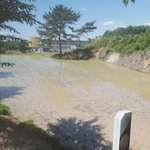 [드루와] 우리 오늘 모내기 하는 거 <b>취재</b>해갔다