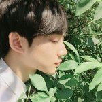 [프듀2] 요즘너무불안해