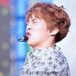 망태기에 넣어 내꺼하고픈 요정돌