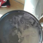 [프로듀스] <b>머랭</b>치기했다