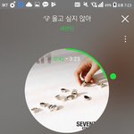 [세븐틴] <b>연검</b> 정화 시급해