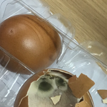 <b>GS</b>편의점의 계란실태