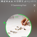 [세븐틴] <b>서양</b>수박 예측2위