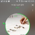 [세븐틴] 앨범 아직 <b>남아</b>있어?