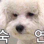 [프듀2] 현넨이 잠 깨는 법 <b>터득</b>했다고 해서