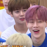 [박지훈] 박지훈 <b>악편</b>안되서 너무 좋다