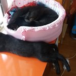 티격.<b>태</b>격.자라고있어요~~