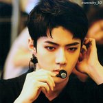 [세훈] EXO'rDIUM dot 엽서 <b>스캔</b>본