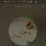 [세븐틴] 뮤비 어떡해