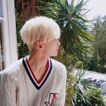 [세븐틴] 세븐틴...