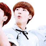 [NCT] 드콘때 애들