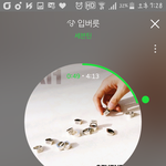 [세븐틴] 밑<b>밑글</b> ㅂㅁㄱ(사진있음)