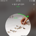 [세븐틴] 방금 ㅁ ㅜ 도 끝나고