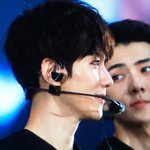 [EXO] 뒤에 <b>세호</b>니 개겸디네