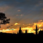 [신천지 편지] 신천지 예수교 증거장막성전을 말하다!