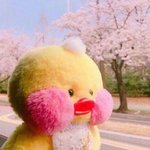 <b>외자</b> 이름 추천좀해줘