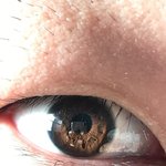 와 미친 아이폰6 <b>화질</b>이래