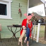 감자와 촬스의 견생<b>역전</b> 2탄