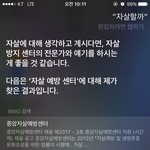 [드루와] <b>시리</b>가 자살