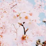 너희는 누구를 좋아했다가 걔가 널 다시 좋아해주면 어때?