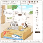 귀여운 고양이 노래 발견!!